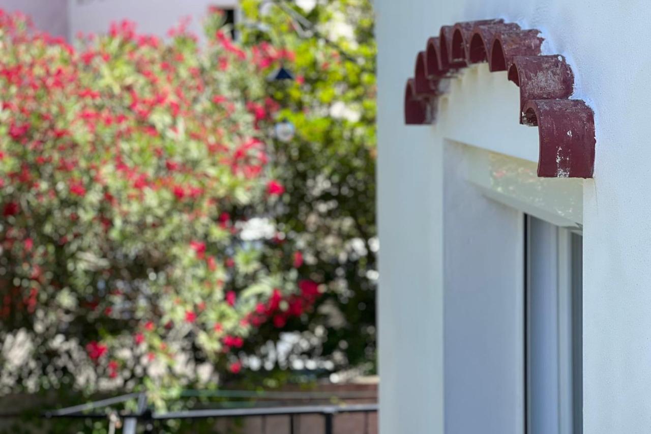 La Mimosette Joli 1 Confort Proche De La Appartement *