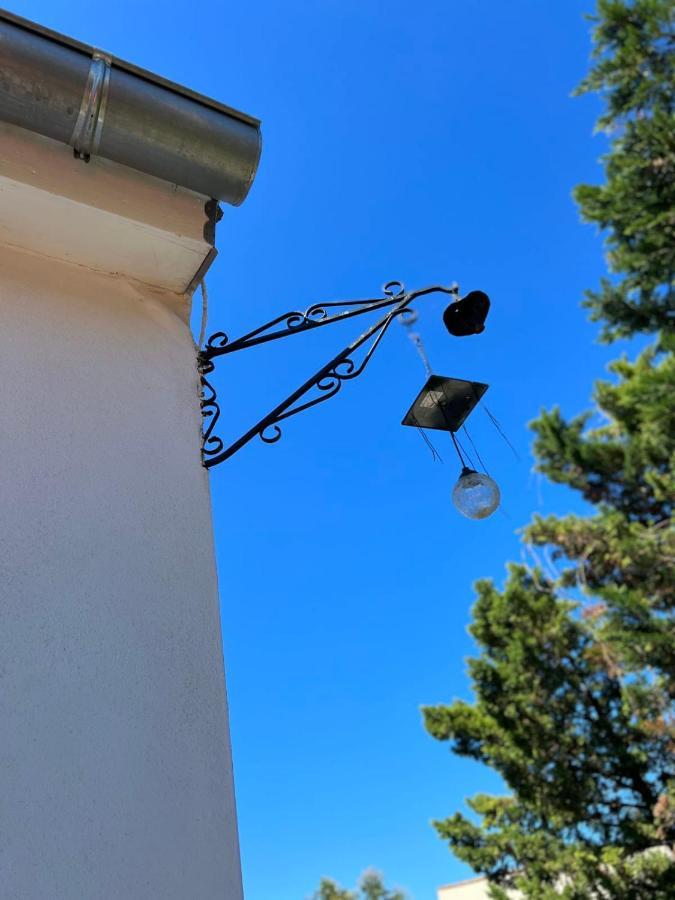 La Mimosette Joli 1 Confort Proche De La Appartement *